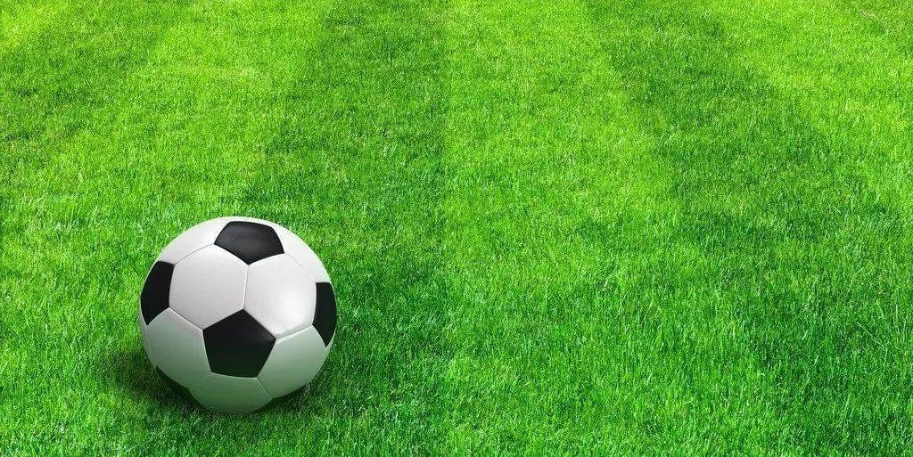 实时赛事数据监控界面